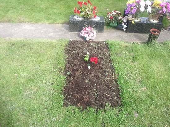 Maya's Memorial 20th May 2012