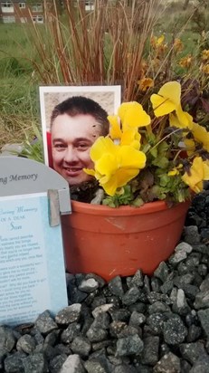 The plant we put on for you Ken xx