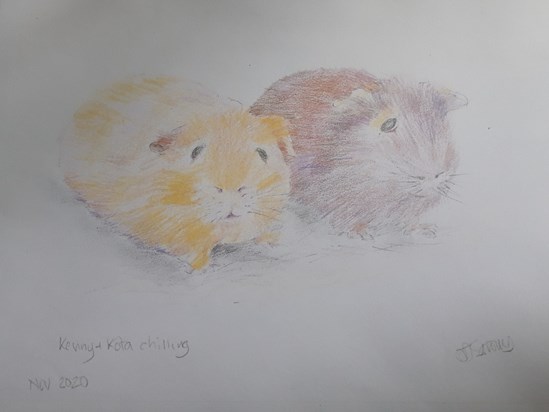 Annie's drawing of two of her grandsons piggies that she loved to cuddle with. 