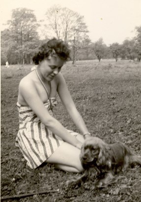 1956 Pam with Prin Golden Cocker Spaniel