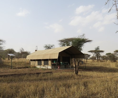 Home for a few days in the Serengeti, 2017