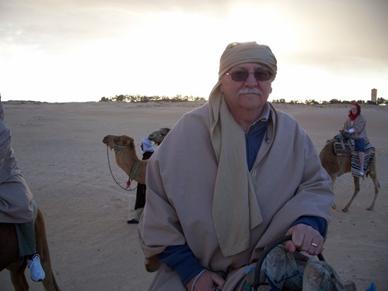 Sahara Desert riding camels
