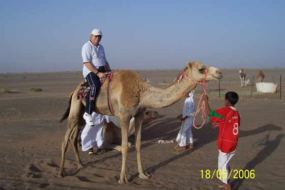 Riding Camels in Oman