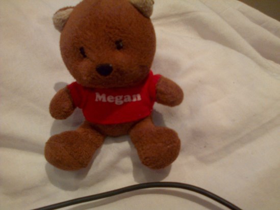 The teddy David bought me the first week i was with him <3