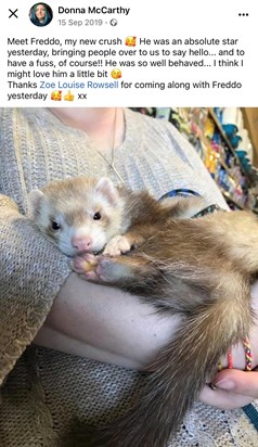 Donna meeting Freddo ferret