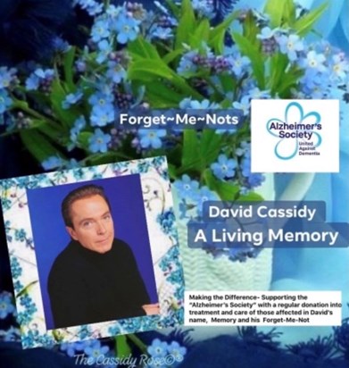 David Cassidy - A Living Memory 