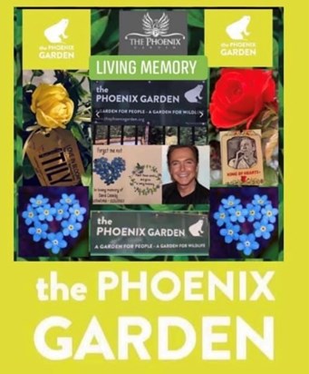 David Cassidy Memorial Plaque and Roses donated to the Phoenix Garden London his “ Tell me it’s not True “ Memorial Plaque  