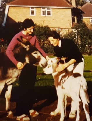 Mum and Alice with the wicked donkeys