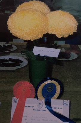 Prize Winning Entry 2002