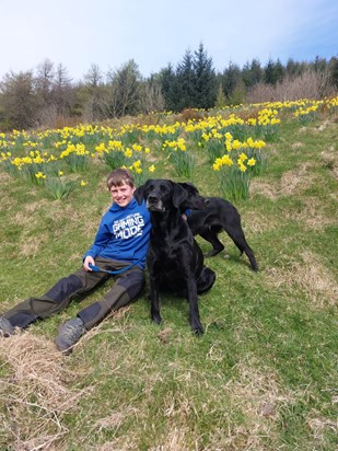 Jack sat amongst the daffodils with his two dogs at Gillerthwaite.