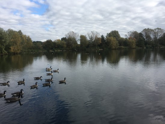 The lake from Louie’s level B75F2C7 7C46 42EB 9D5D 12E0B37ACA43