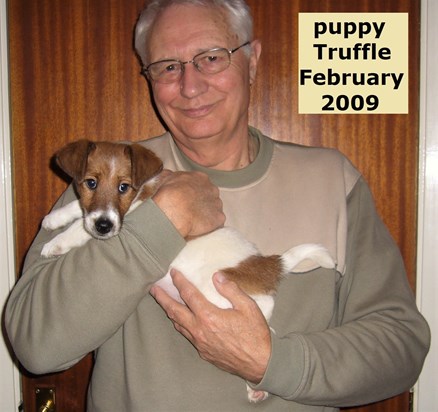 2009 Alan with  Puppy Truffle. Smooth Fox Terrier.