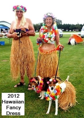 2012 . More dog show fun. Hawaiian Fancy Dress.