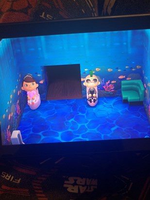 Playing Animal Crossing through lockdown (Toilet Selfies)
