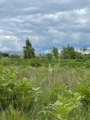 Nab Hill, Anglezarke