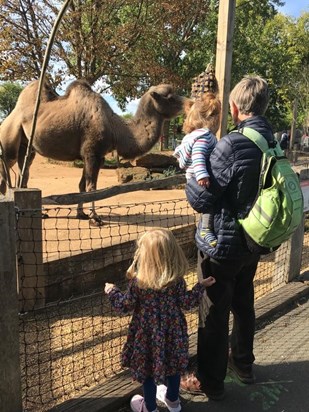 Our last picture of Duncan at the zoo with his 2 grandchildren