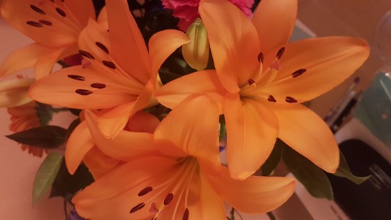 Orange lilies - always a favourite.......  