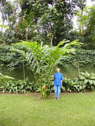 2004 Anne by the rose ginger plant in our garden in the Philippines