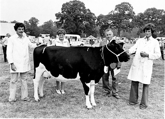South of England Show 1976 Champion