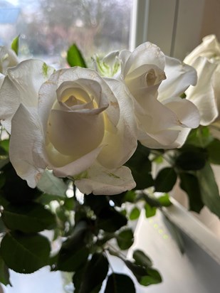 Samuel loved white roses x