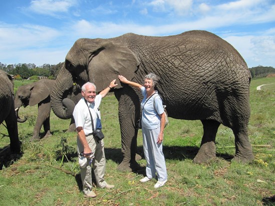 Neil during a trip to an elephant sanctuary in South Africa 2009