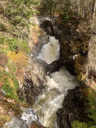 Falls of Bruar, Blair Atholl