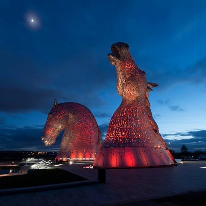 Kelpie howling at the Moon