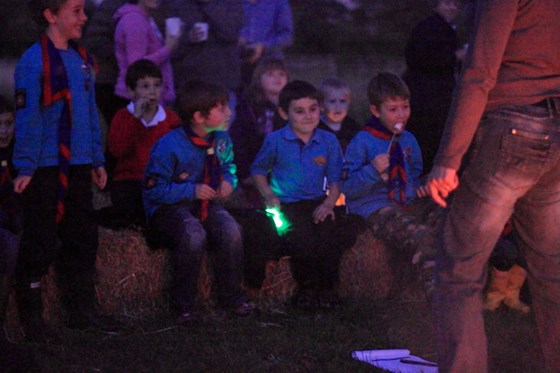 2011 Campfire with Beavers