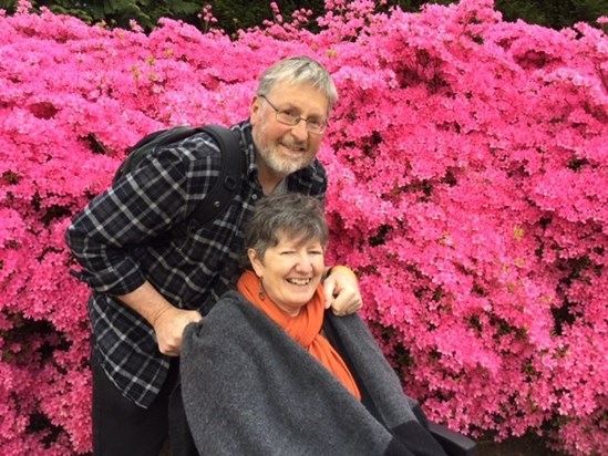 Glowing amongst the azaleas at Sheffield Park