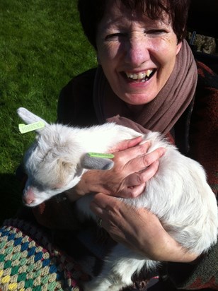 Cuddling a little goat 