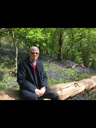 Fond memory enjoying bluebells at Hemingstone 