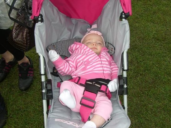 The youngest Barmouth Walker - Elissa