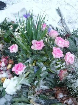The Flowers at Ketton 17th January 2010