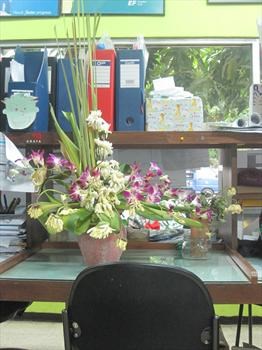 David's desk at Kayun