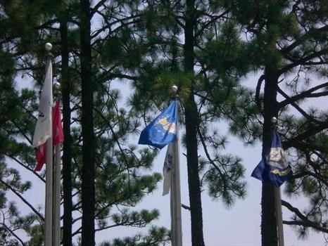 Flags at Fort Bragg Cemetery 