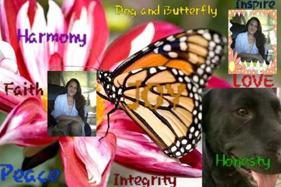 Dog and butterfly