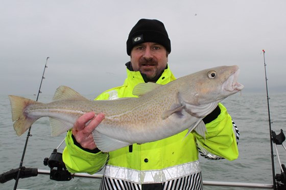 Dickie's Cod ~8lb