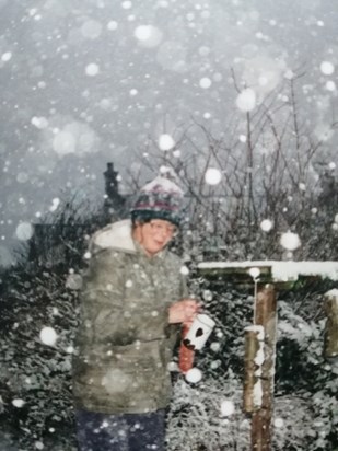 Feeding the birds whatever the weather