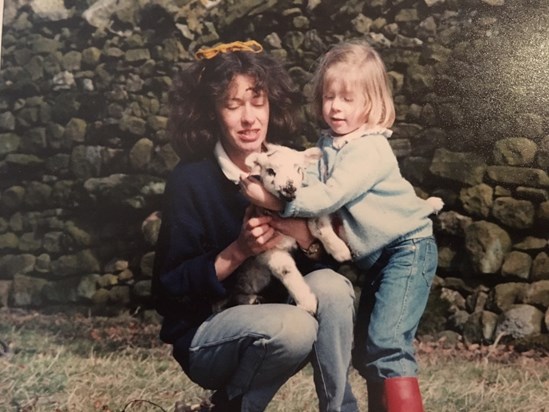 Lamb in Yorksire, circa 1987