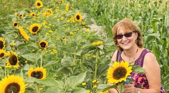 In the Sunflowers 