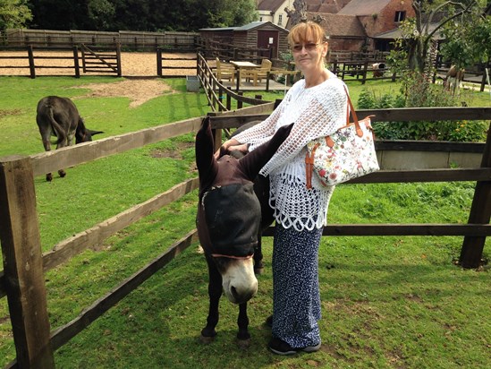 Maggie at Donkey Sanctuary Birmingham 