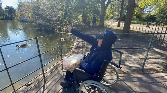 Feeding the ducks at the park - 11/04/2021