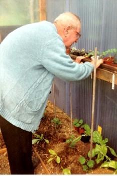 Jack tending his tomatoe plants