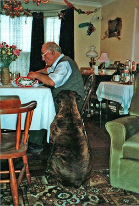 "I never feed the Dog at the Table" - Yeah right :)