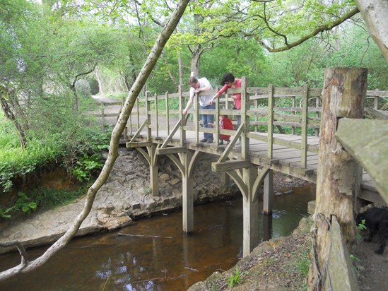 Ashdown Forest dropping pooh sticks off the bridge