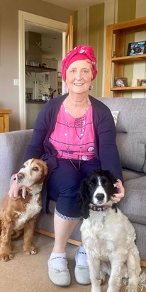 Bev going through Chemo and our two dogs 