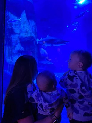 London Aquarium on your 4th birthday