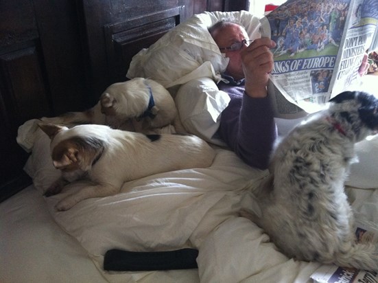 A typical morning in bed with the dogs