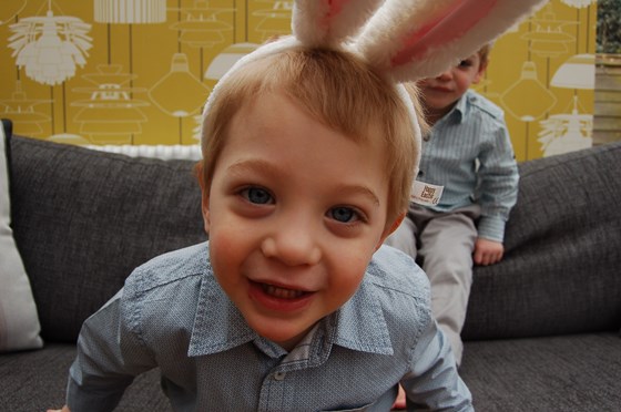 Hop little Bunny ( Easter 2013 )