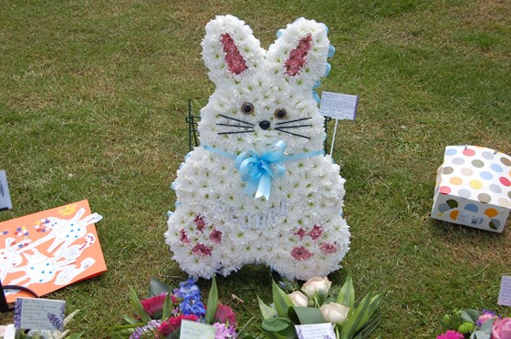 Bunny for George